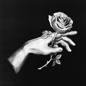 Non galattico feat con nessuna rosa 🌹