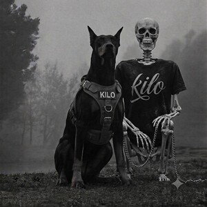 kilo - Asi nomas a quedado