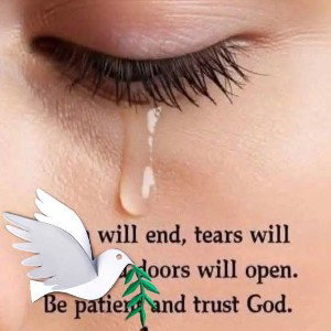 trust no one