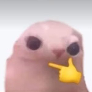 N-wort