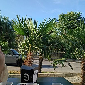caffe e luna 
