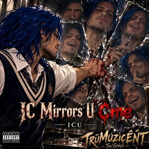 IC Mirrors U Cme 