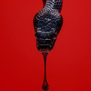 THE SNAKE WITHIN 