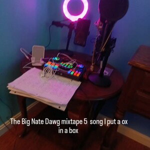Big Nate Dawg from the cornfield 🌽 put a ox in a box vocals no echo 