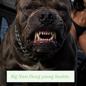 Big Nate Dawg Young Husleia 
