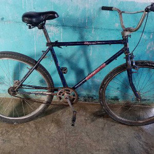 la bicicleta 