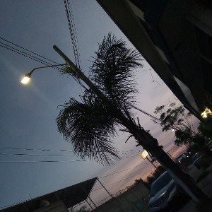 el menor