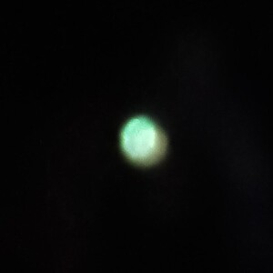 Underground Alien LA NEST 