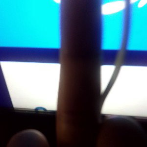 dis on bubbia