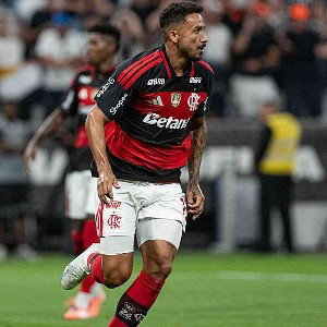 FALA CMG BB 55