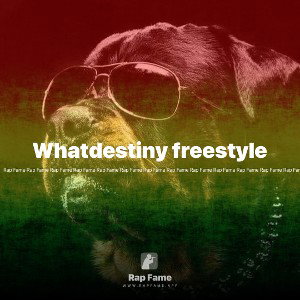 Whatdestiny freestyle 