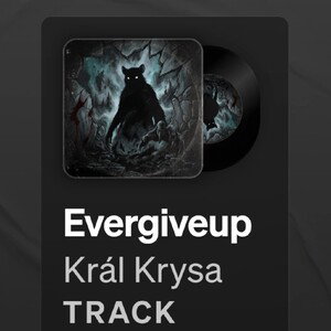 Evergiveup 