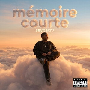 mémoire courte 