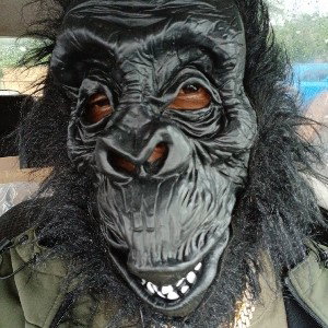 Ape Nuts