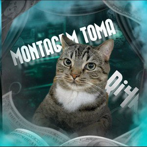 MONTAGEM TOMA - RI4K