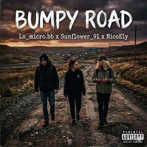 Bumpy Road remix ft.ls_micro.bb ft 🌻ft nicoelly🌻 edit