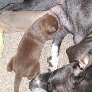 welcome to Baltimore 