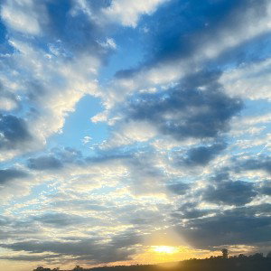City of angels (18:28:39)