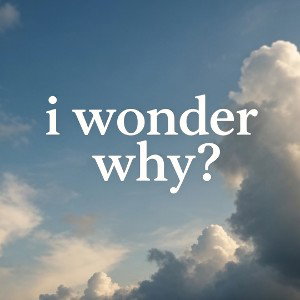 i-wonder-why