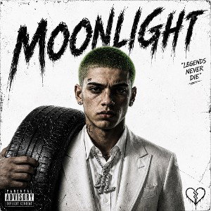 moonlight