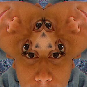 Bop It stop it 