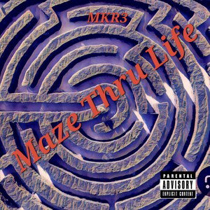 Maze Thru Life