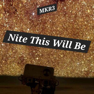 Nite This Will Be
