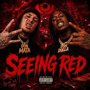 👀 Seeing Red 👀 (Freestyle) Mata & Bo$$dolla