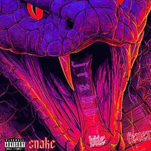 Snake bite fever