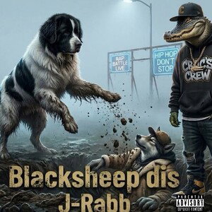 blacksheep DIS