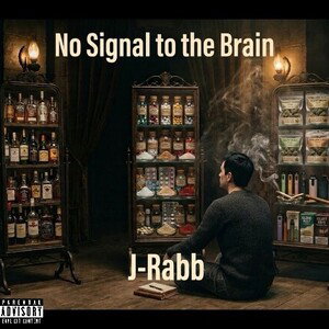 no signal to the brain