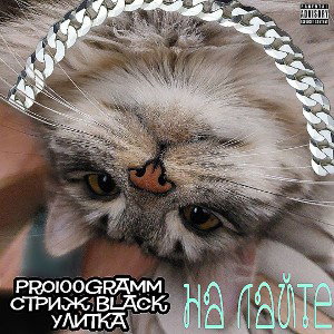 На лайте