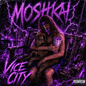 ViceCity