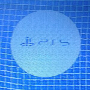 l PS5 Punch
