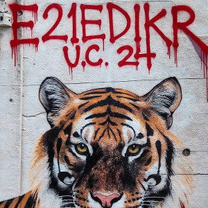 e21 U.C  FREESTYLE