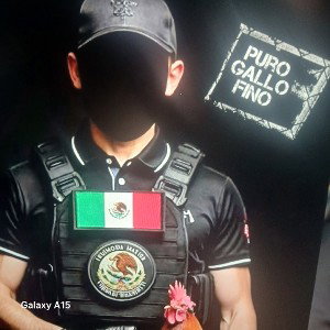 puro gallo fino 🐓