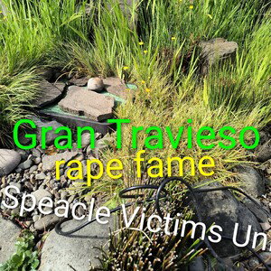Special Victims Unit