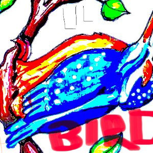 LIL BIRDIE