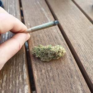 joint freestyle 