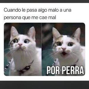immm