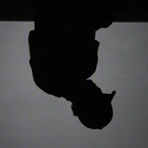 COMO EL VIENTO / BASE DE RAP