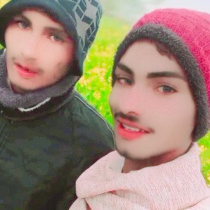 ibrar