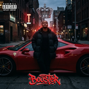 BOUSTER  fr annime FT viper