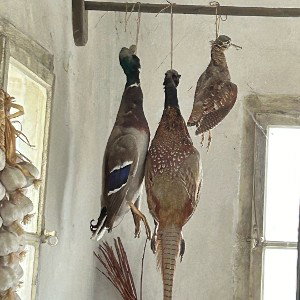 любовь