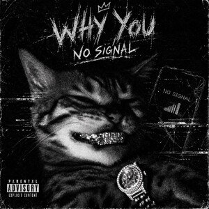 Whyyou - No Signal 😮‍💨