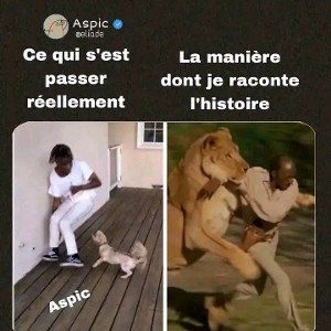 le boss mk