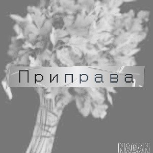 приправа