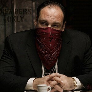 RS7 AFFILIATES - Members Only 