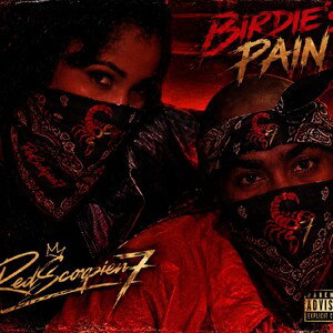 RS7 AFFILIATES - Birdie's Pain