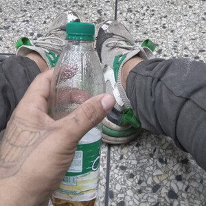 mundo tosco